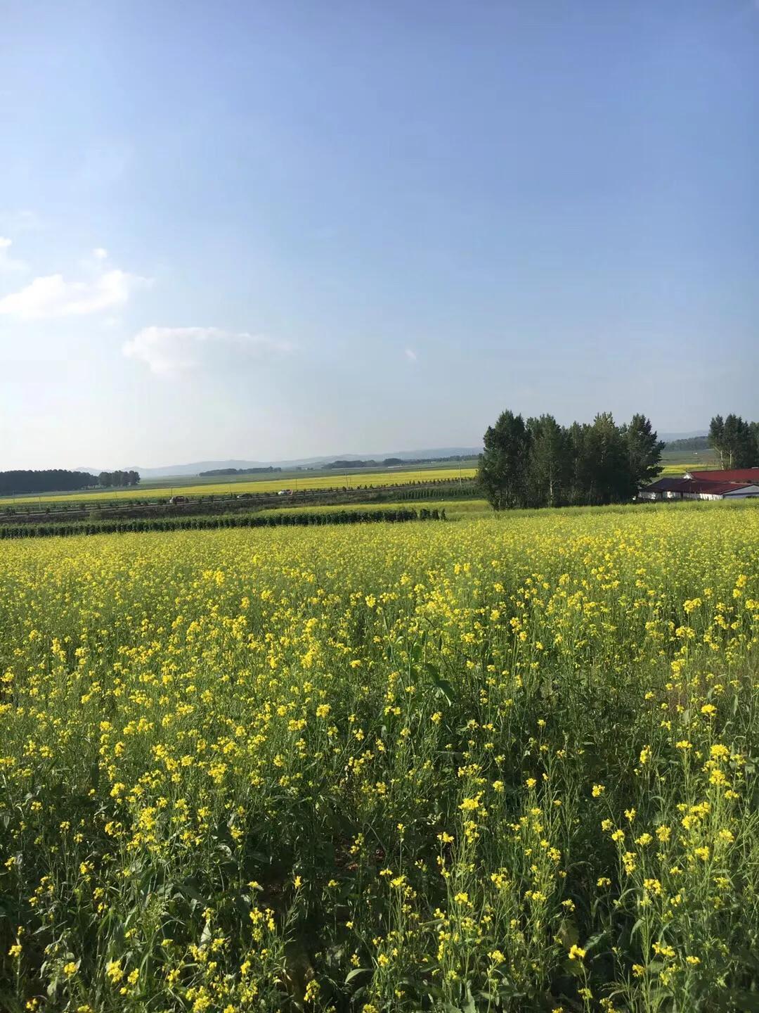 张北天路乌兰布统攻略,天津张北草原天路自驾游攻略