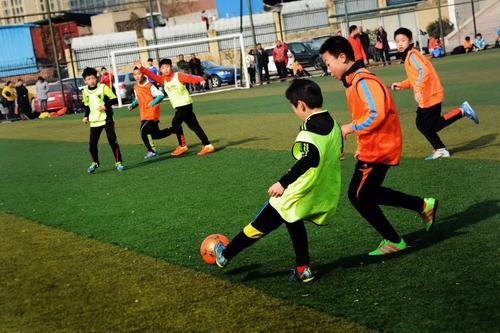 中国女排对男足的影响,中国女排和男足的对比