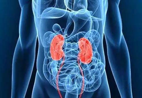 肾炎患者注意休息,肾炎应该注意什么事项