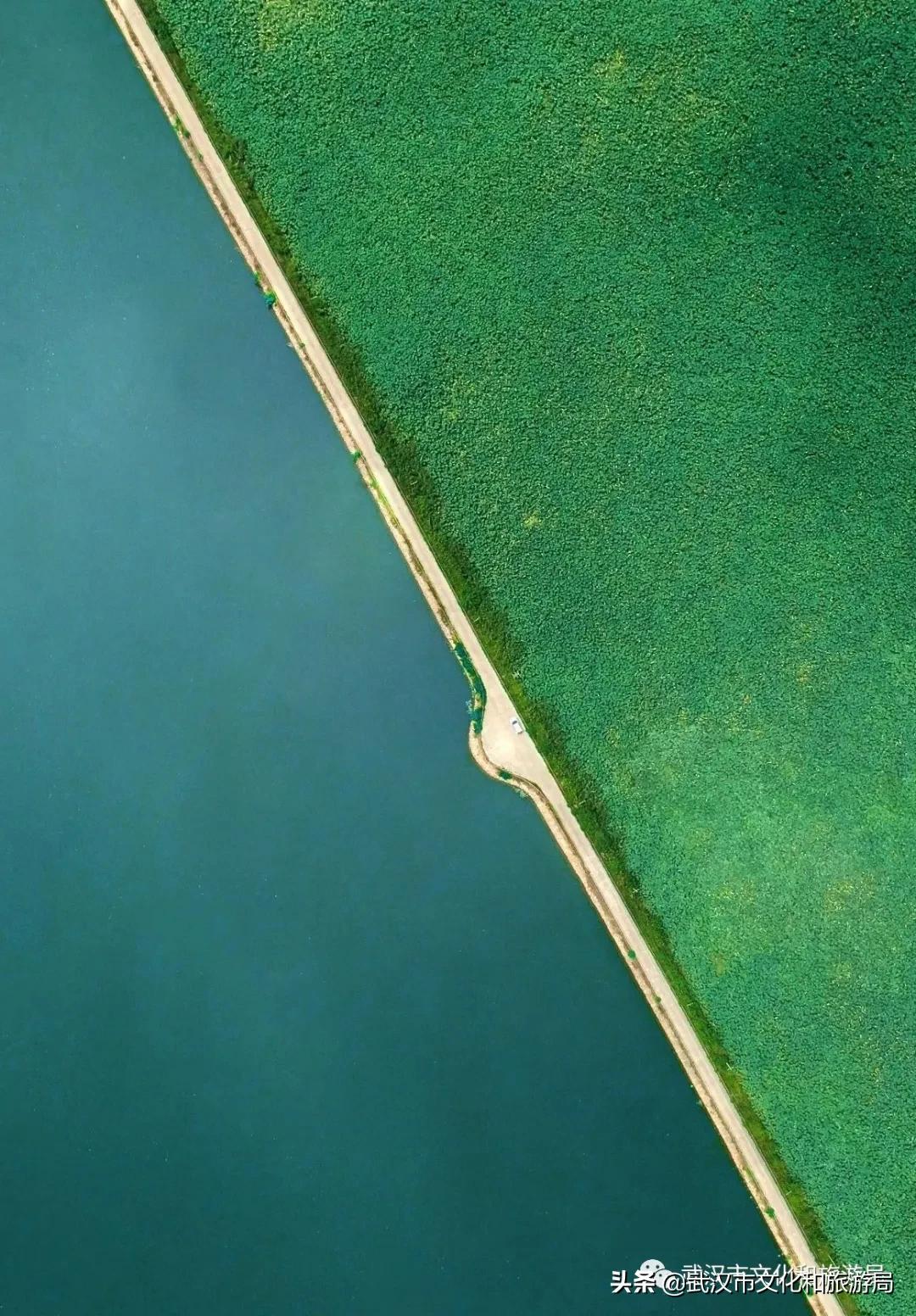 江夏面积多大,关于最美江夏的图片