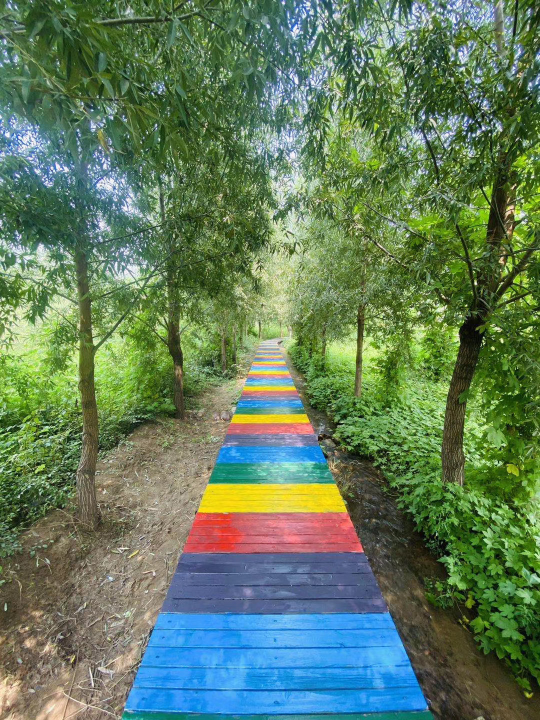 井陉豌豆农庄视频,河北省井陉县豌豆农庄