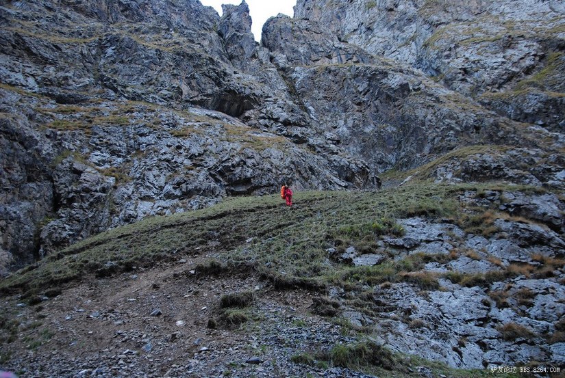 狼c调简谱教唱,狼c