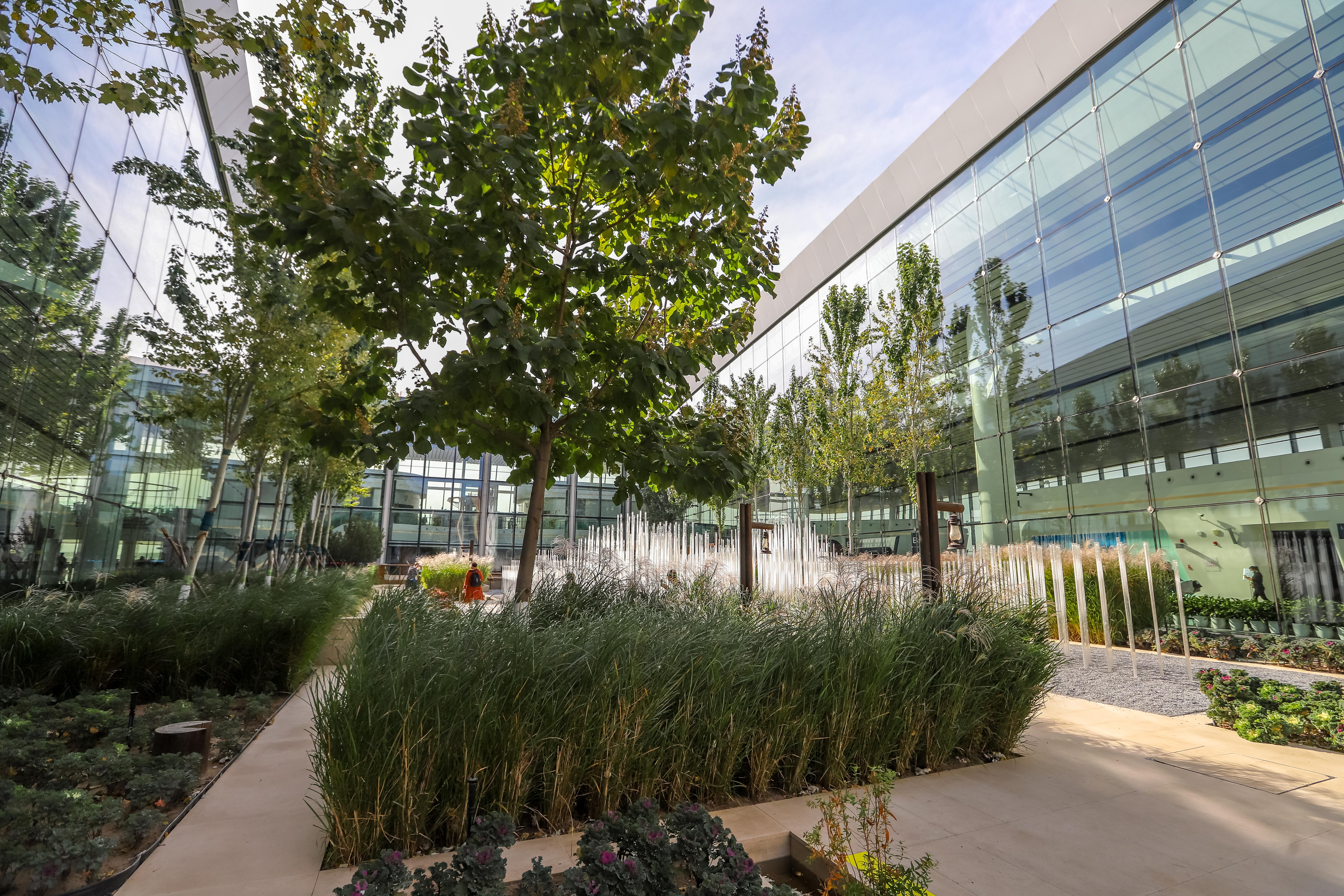 北京新晋网红打卡地,北京大兴机场网红打卡