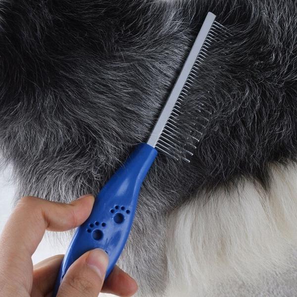 狗狗哪种皮肤病最难治疗,短毛狗容易得皮肤病