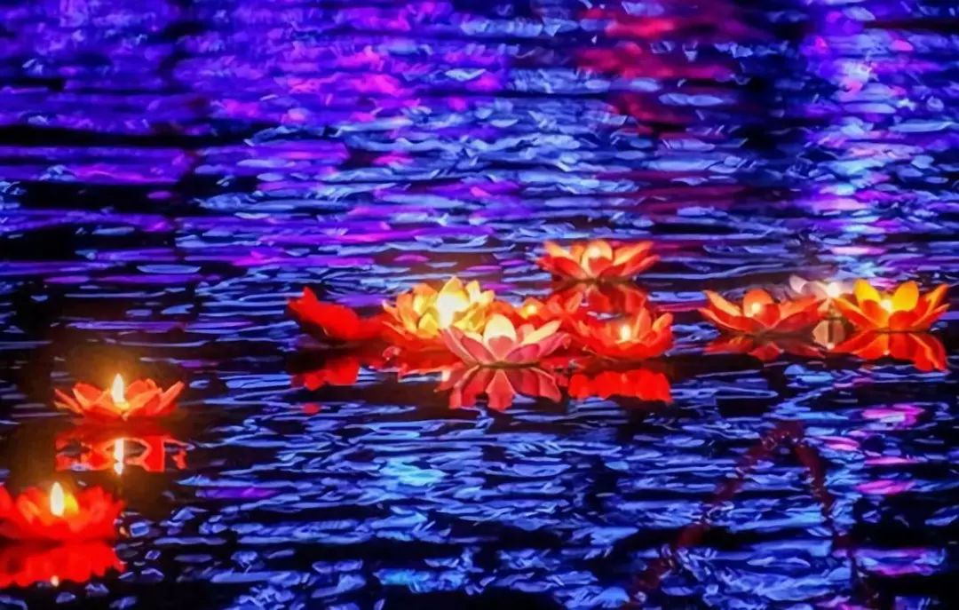 小榄菊花会景点门票,小榄菊花会12月开放吗