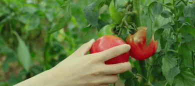 天天健身为什么还有脂肪肝,跑步一个月脂肪肝的变化