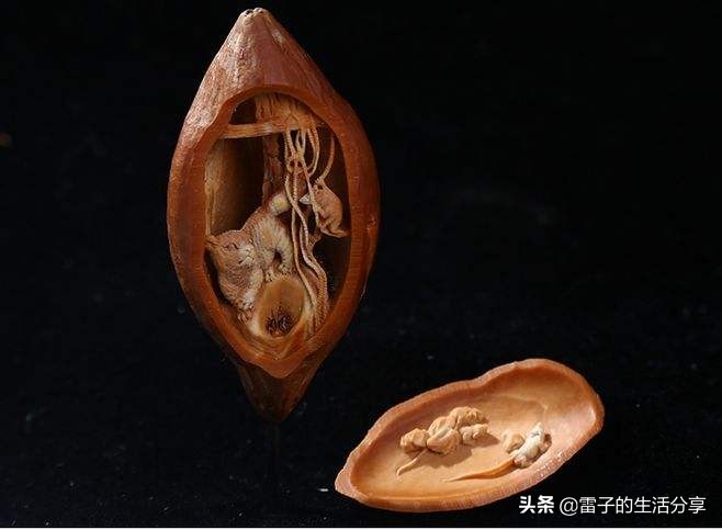 大尺寸星月菩提108颗蜜蜡配饰,文玩菩提子鉴赏