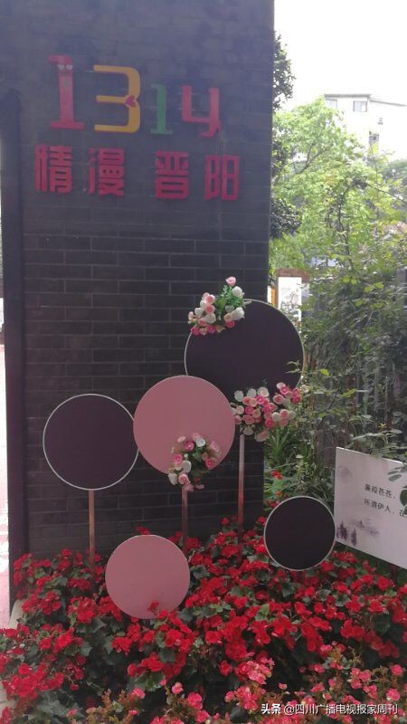 晋吉社区居民1314主题公园赴一场浪漫之约