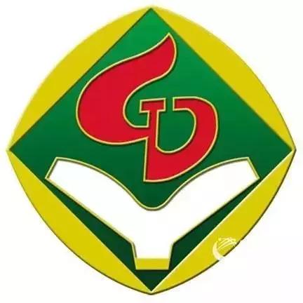 富力杯决赛视频,2019富力杯校园足球