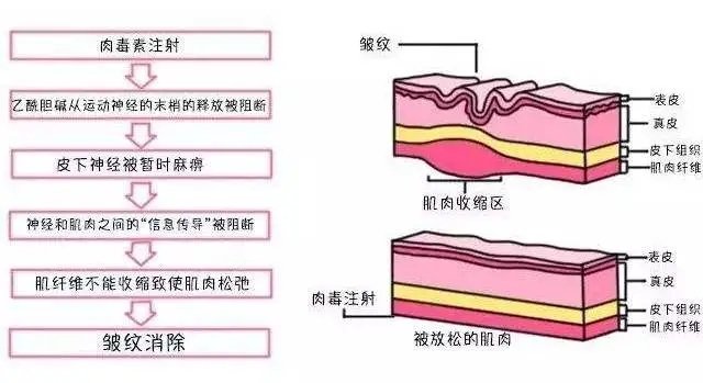 年纪轻轻脸就“崩了”？到底是哪里没做好