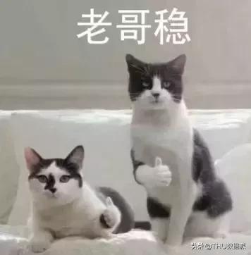 爬取淘宝商品详细图,爬取淘宝某商品