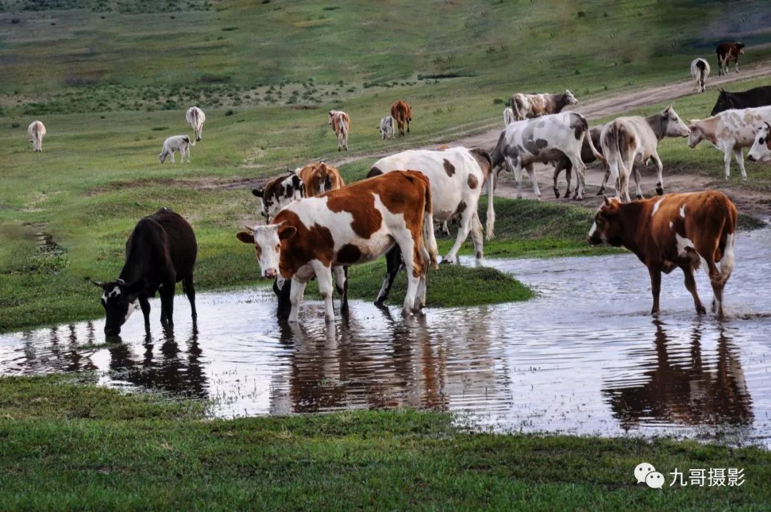 坝上草原天路美景,大美坝上风光系列之一