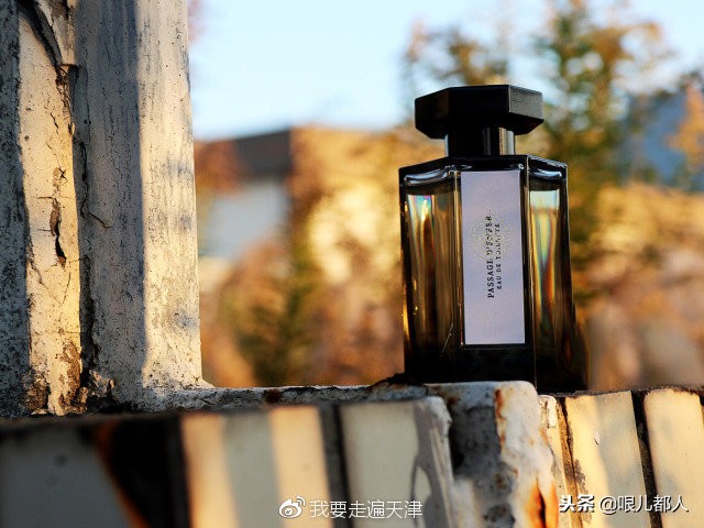 行走的荷尔蒙香水推荐,什么牌子的香水是行走的荷尔蒙