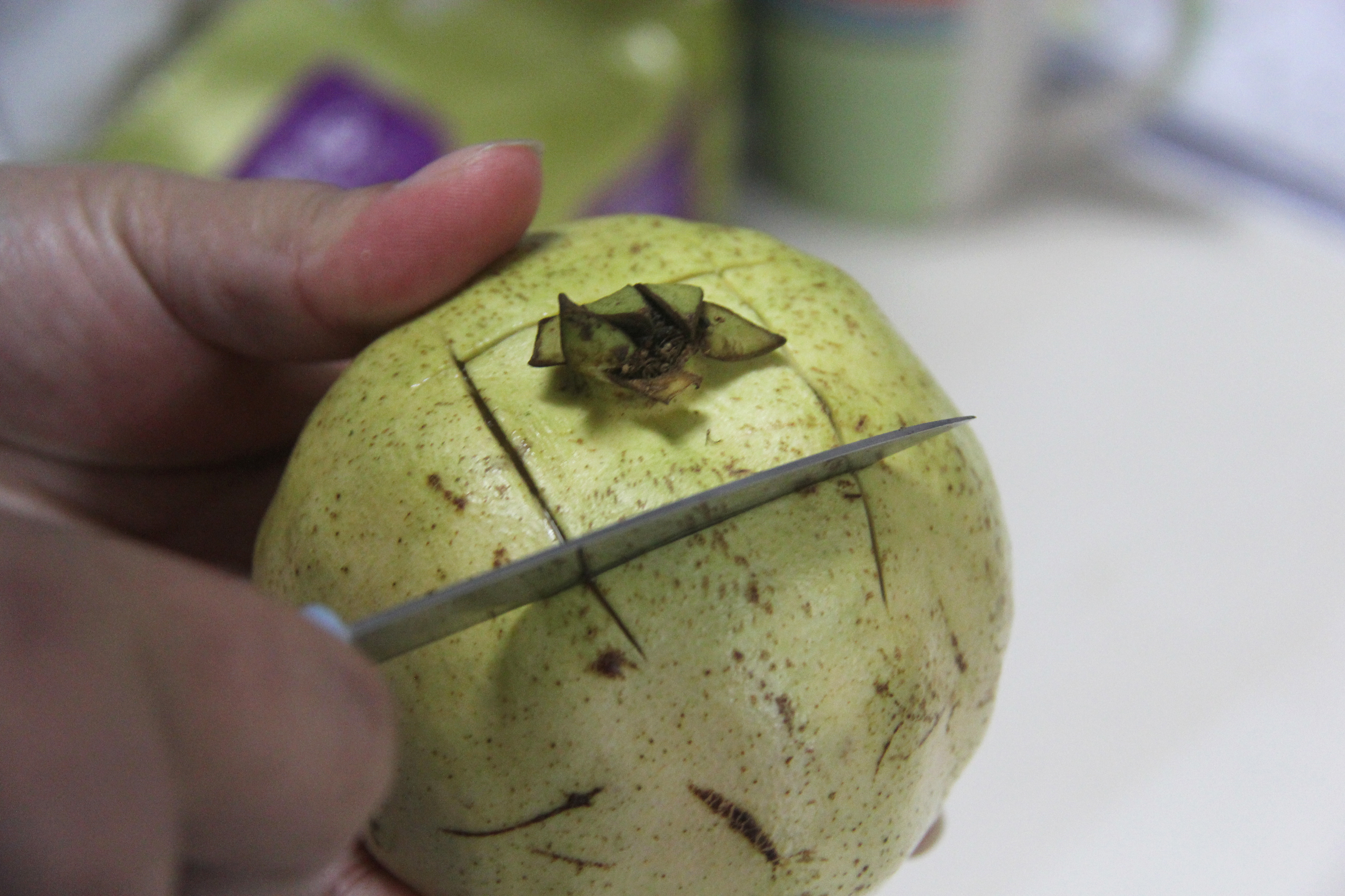 白花玉石籽石榴,玉石籽石榴