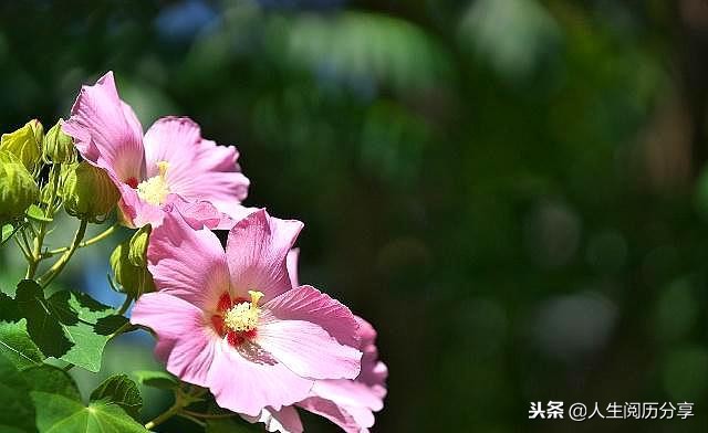 人生格言正能量励志名句简短,励志短句正能量名人名言