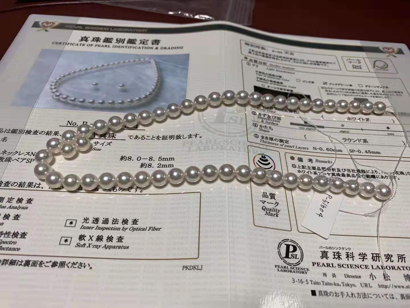 日本正宗珍珠,去日本哪里买akoya珍珠项链