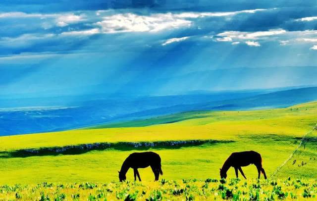 别以为名字里带玉就是玉，这骗了大部分文玩爱好者，小心中招