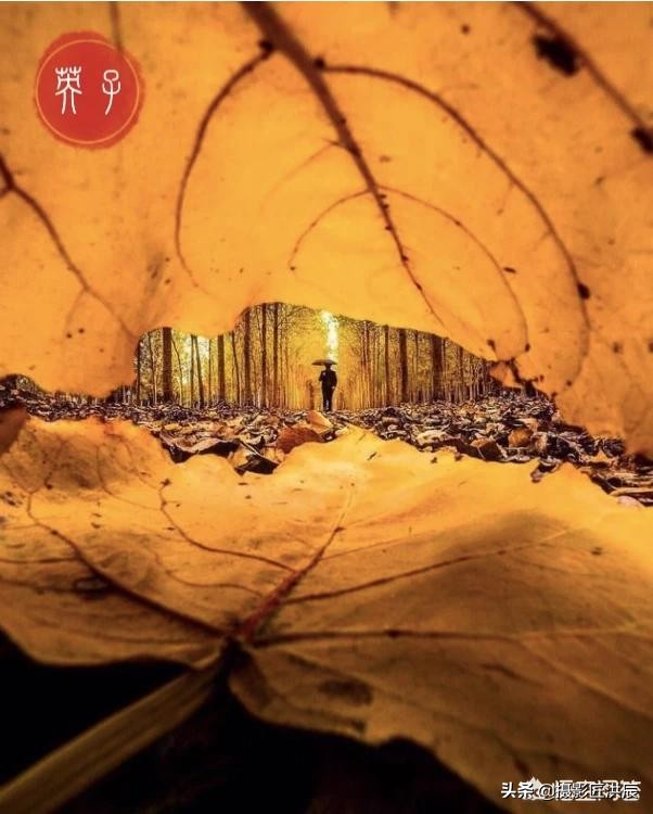 图片上签名印章怎么弄,怎么在图片上加自己的印章