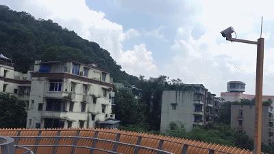 大楼爆破失败倒塌视频,大楼爆破瞬间倒塌真实视频