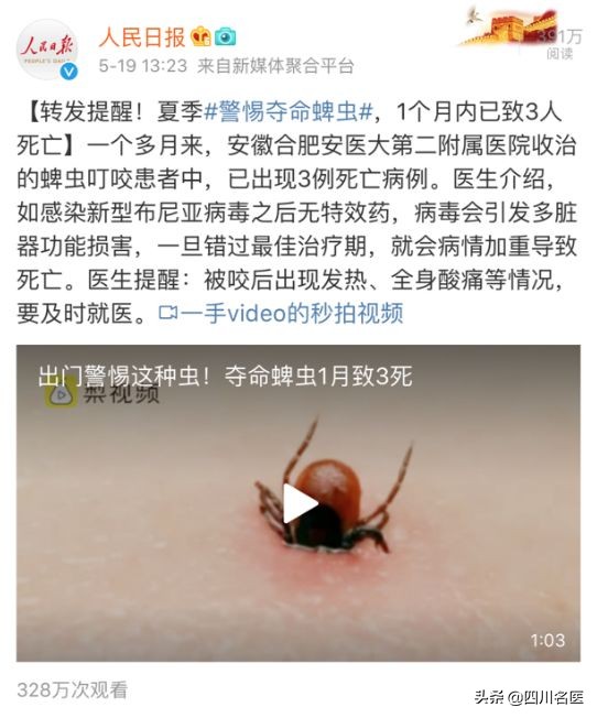 夺命虫被人咬死,儿童被隐翅虫咬死