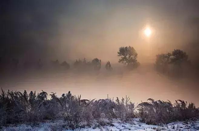 雾凇之美宛若仙境,连云港花果山雾凇美得像仙境