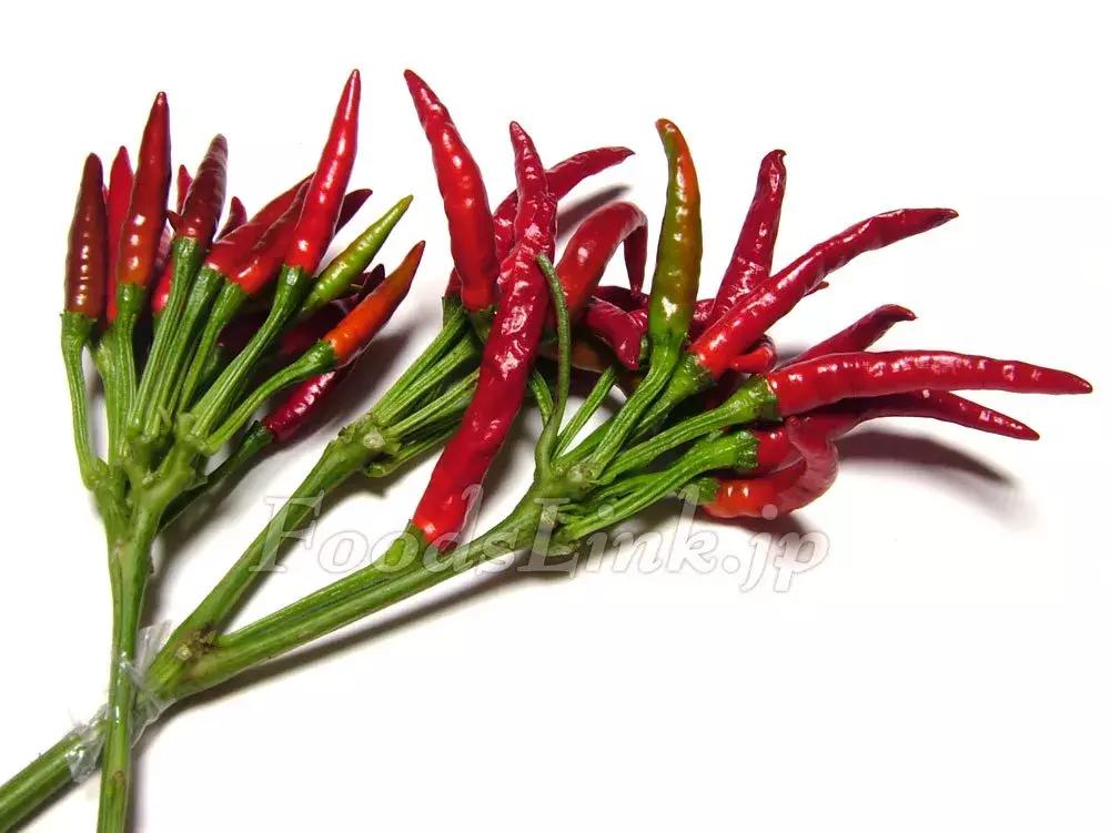 日本人喜欢辣椒吗 (日本人对辣椒的热爱)