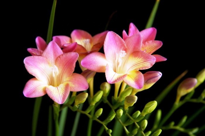 醒悟人生的句子透彻走心句句受益,看透人生醒悟的句子