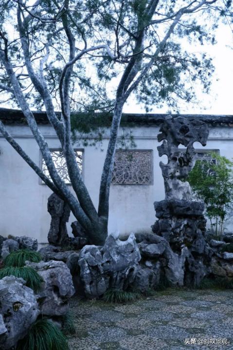 陈从周的园林作品有哪些,陈从周中国园林风格