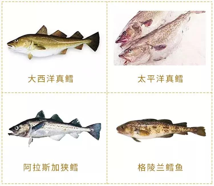 小孩吃了假鳕鱼拉黄油怎么办,吃真的鳕鱼为什么会拉黄油