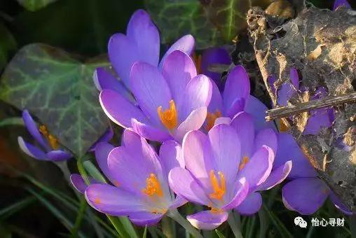 一个错误使用信用卡的惨痛经历,信用卡使用3大禁忌记得要避开