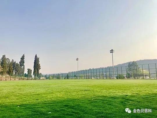 昆明足球特色学校排名前十,2022云南校园足球特色校