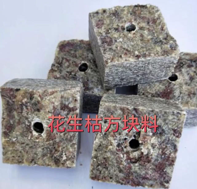 钓鱼打窝怎么打最好,钓鱼打窝怎么打比较好