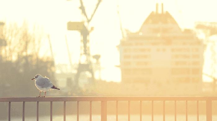 家里阳光太强怎么办,家里阳光照射少如何解决