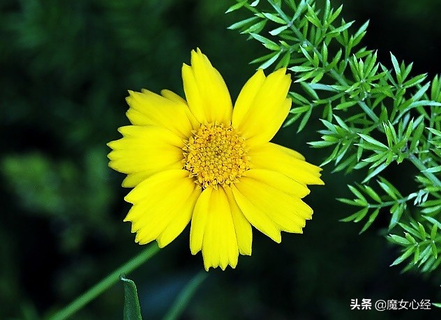 护肤品中的补水保湿成分,修护类护肤品适合哪些肤质