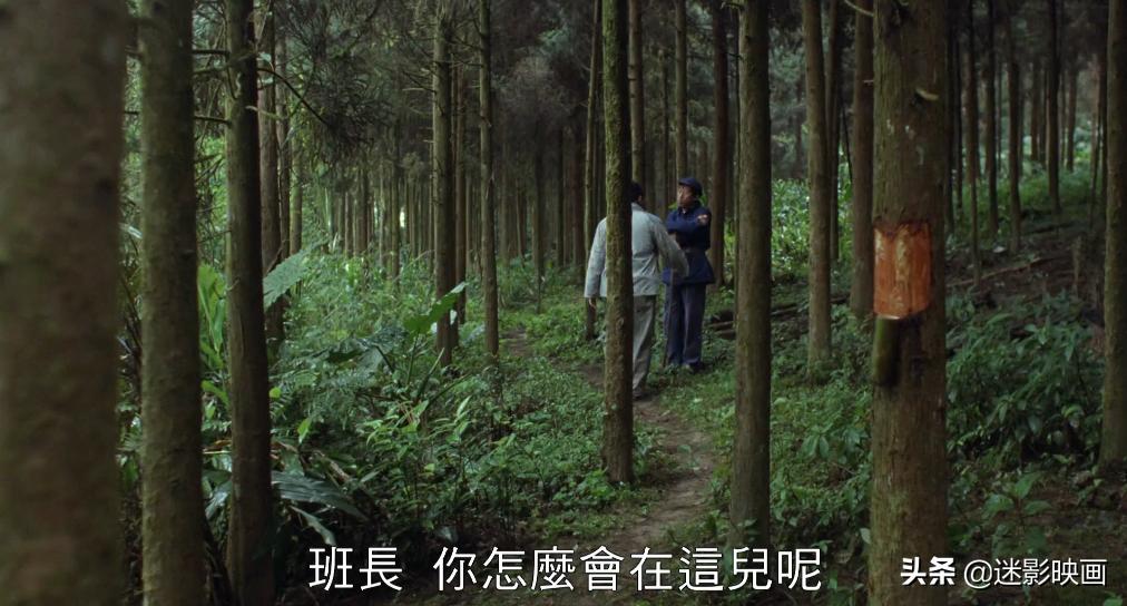 31年前的*片禁**，一位母亲被卖给7个丈夫，将人性丑恶暴露无遗