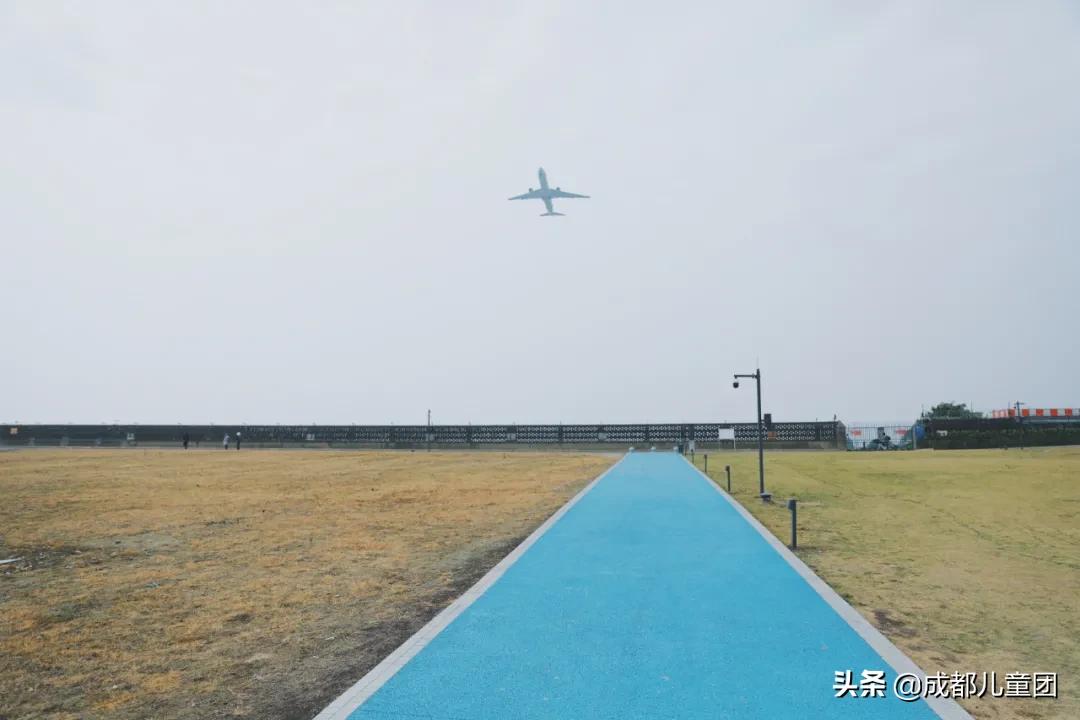 双流空港体育公园看飞机攻略,周末去空港花田