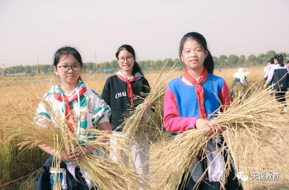 翻地、播种…无锡老小将课堂搬到了田间地头