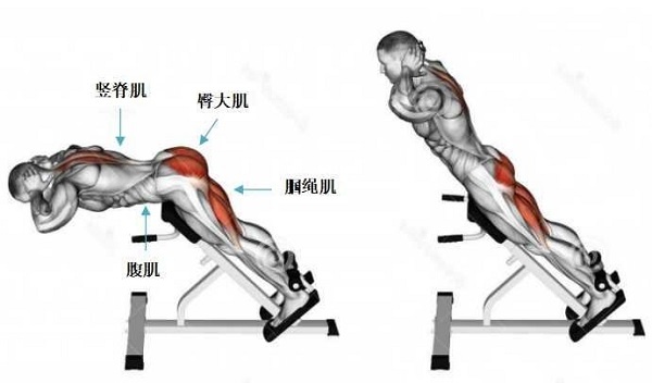 如何练出粗壮的腘绳肌进阶训练,腘绳肌强大腿部肌肉训练教学