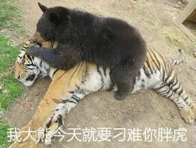 人紧张就想上厕所是什么原因,一考试就紧张想上厕所