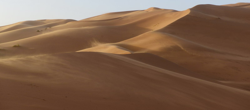 撒哈拉沙尘暴照片,撒哈拉沙漠沙尘暴实拍