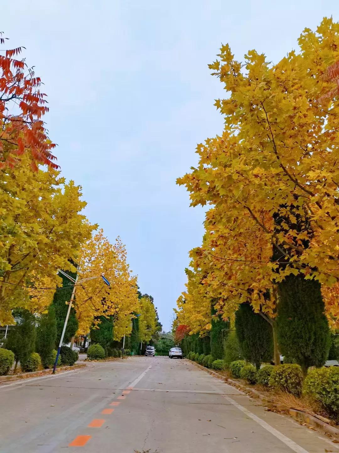 农村建房到底值不值,老家盖房值不值得