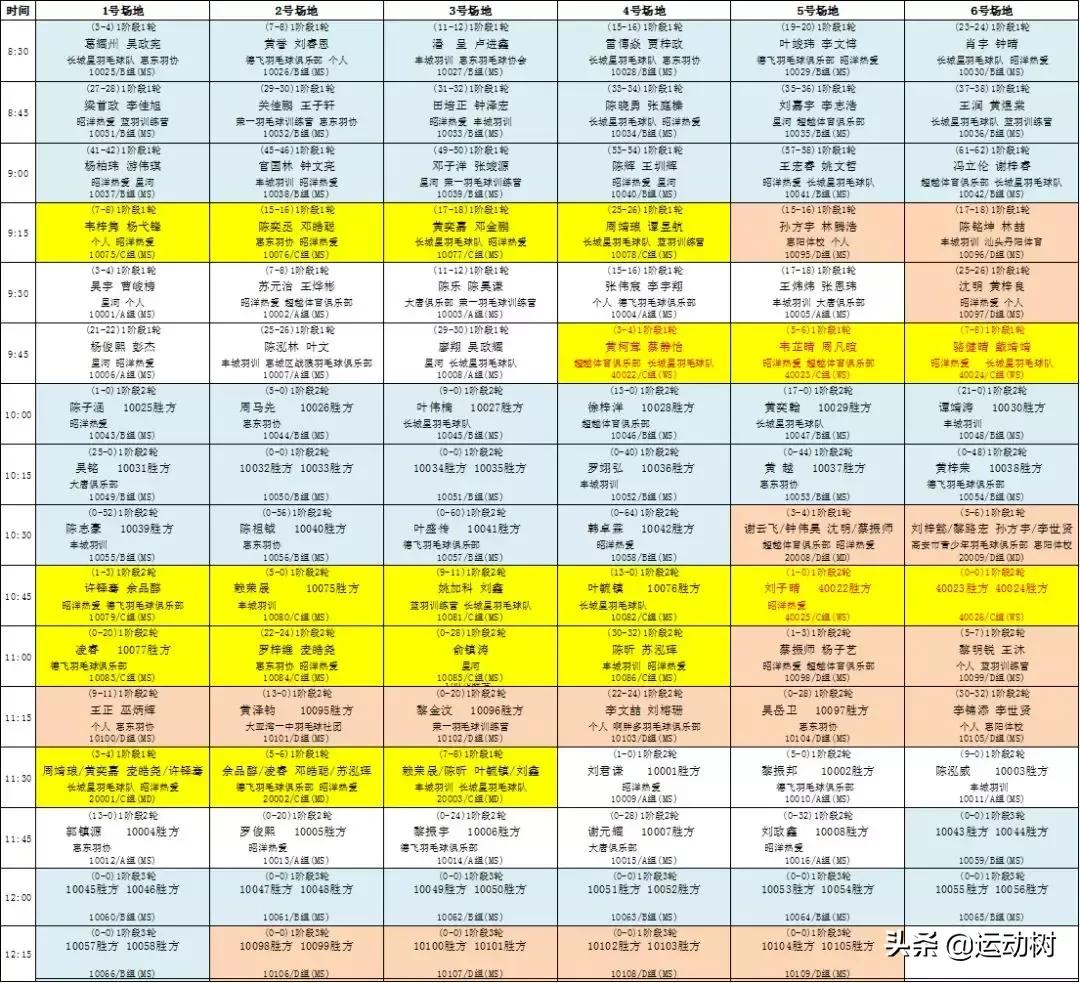 广东惠阳羽毛球单项赛,羽毛球惠阳区比赛