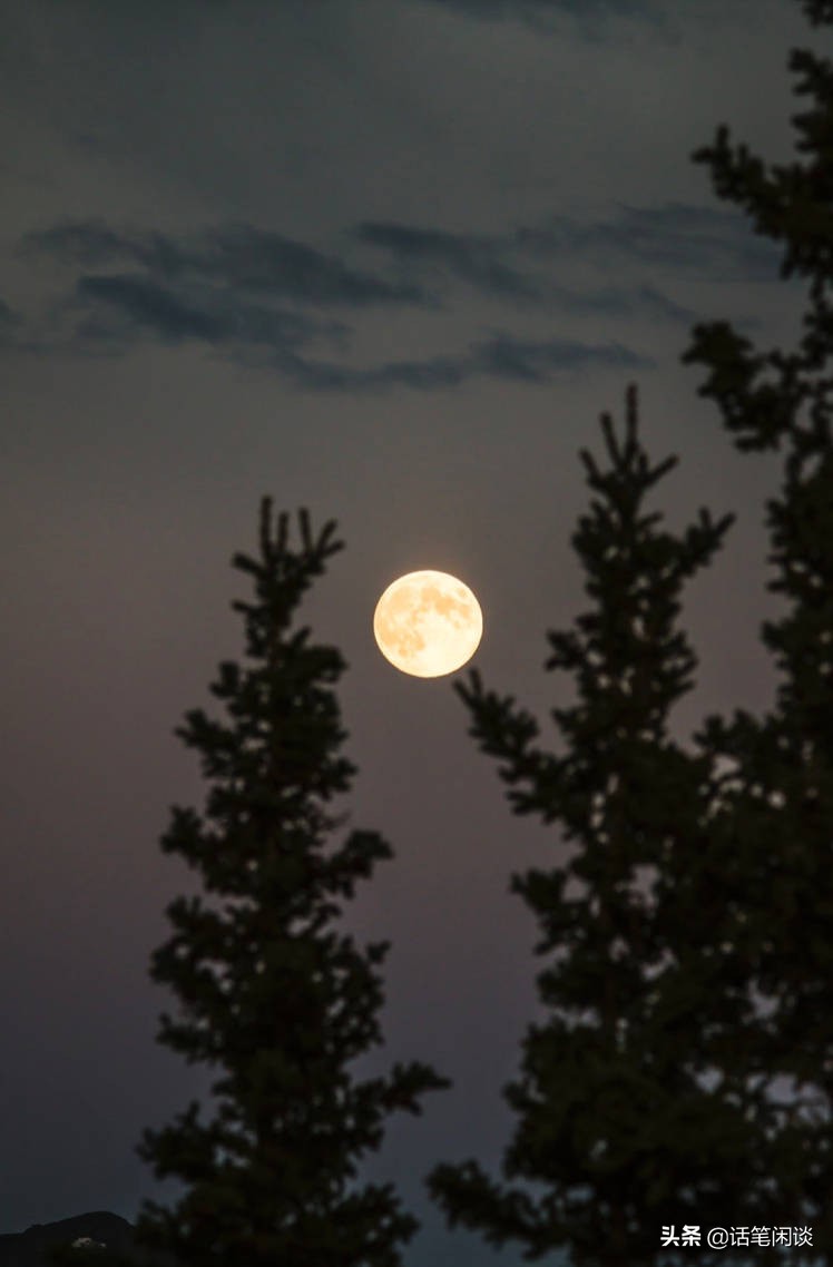 王建中秋明月的诗句,王建描写中秋望月的诗句是