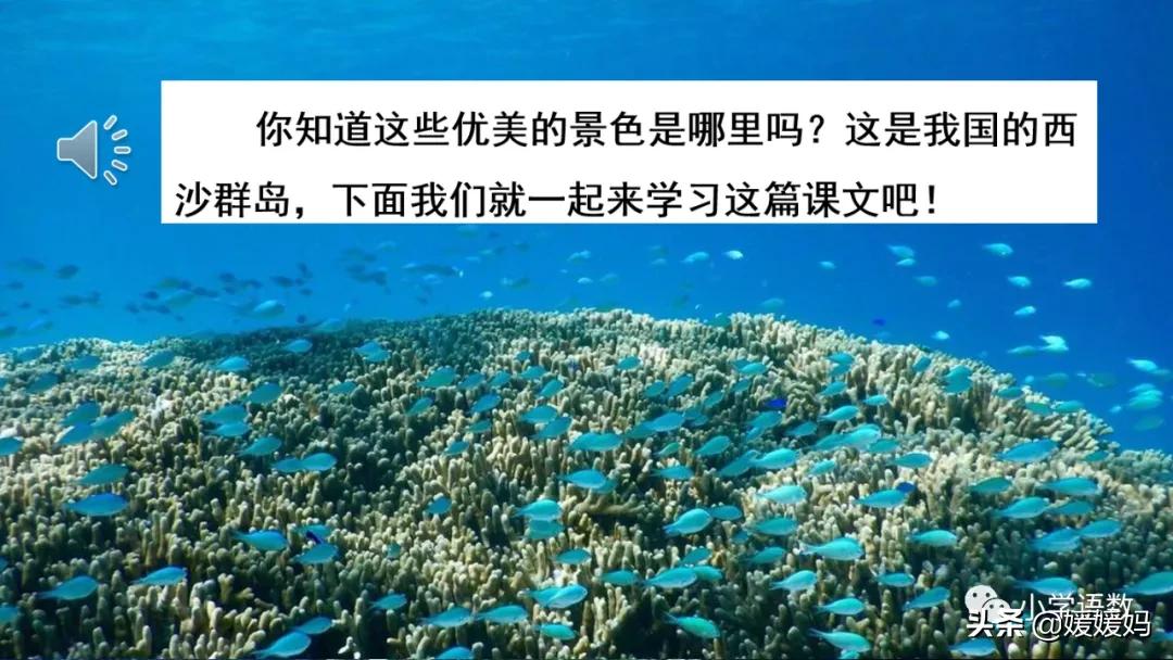 三年级第18课富饶的西沙群岛预习,3年级语文第18课富饶的西沙群岛