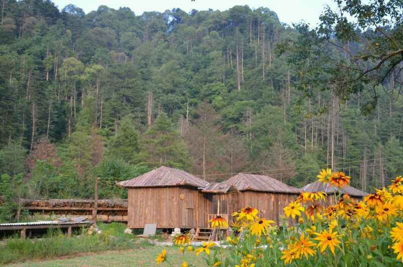 西安人的绿野仙踪,西安秦岭山里的世外桃源