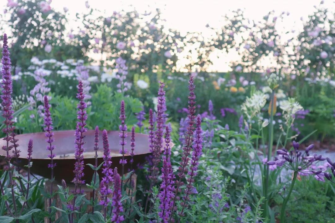 花展的意义,花展布展情况介绍