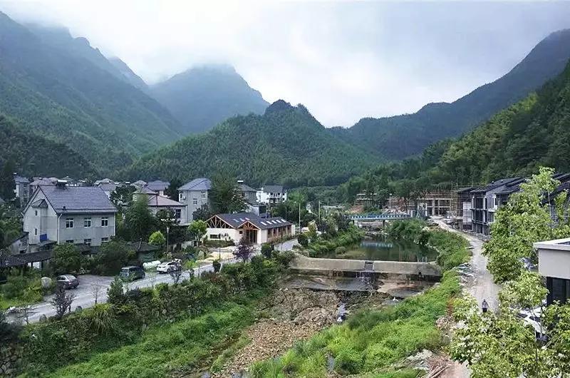 乡村振兴特色文化案例分享,关于乡村振兴比较有创意的点子