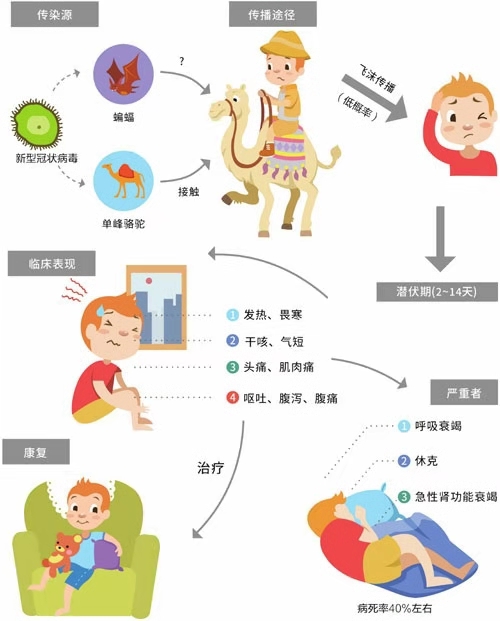 新冠病毒的前世今生及预防,揭秘新冠病毒的源头的视频