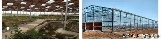 国家对光伏农光互补的政策,友阳光伏