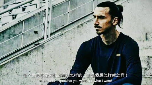 大赛软脚虾伊布,伊布拉希莫维奇软脚虾